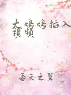 大鸡鸡插入逼逼视频