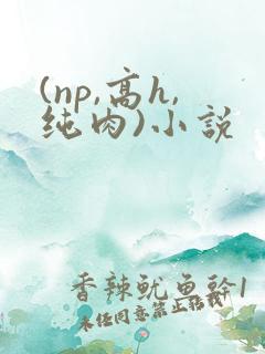 (np,高h,纯肉)小说