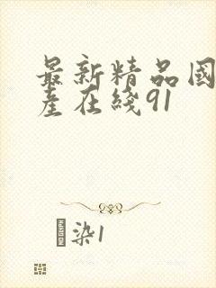 最新精品国偷自产在线91