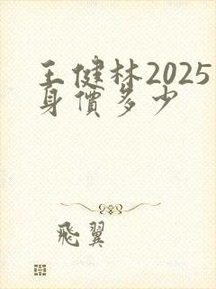 王健林2025身价多少