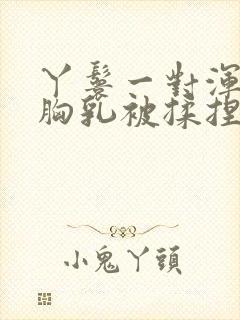 丫鬟一对浑圆的胸乳被揉捏