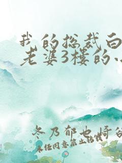 我的总裁白富美老婆3楼的小说