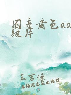 国产黄色aa一级片