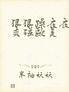 狠狠躁夜夜躁人爽碰欧美