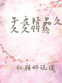 午夜精品久久久久久99热