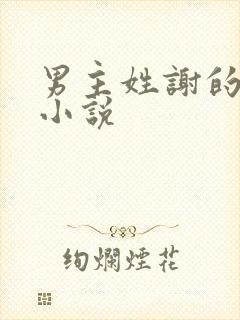 男主姓谢的现代小说