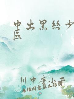 中出黑丝少妇一区