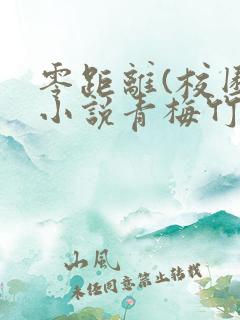 零距离(校园)小说青梅竹马