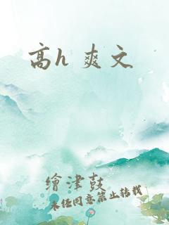 高h 爽文