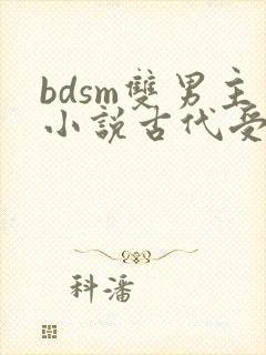 bdsm双男主小说古代受姓肖