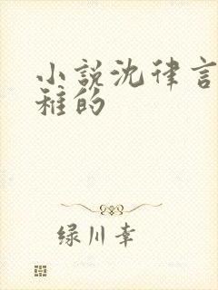 小说沈律言与江稚的