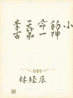 李天命的小说万古第一神