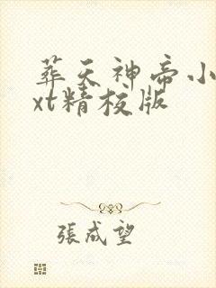 葬天神帝小说txt精校版