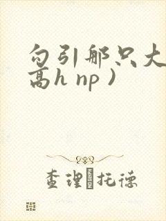 勾引那只大鸟(高h np )