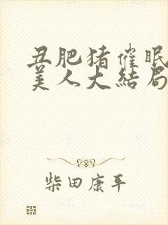 丑肥猪催眠清冷美人大结局