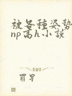 被各种姿势玩弄np高h小说