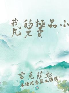 我的极品小姨叶凡免费