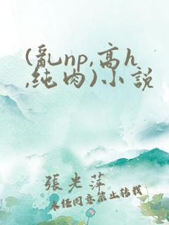 (乱np,高h,纯肉)小说