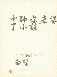 少帅你老婆又跑了小说