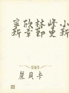 宁欣林峰小说最新章节更新时间