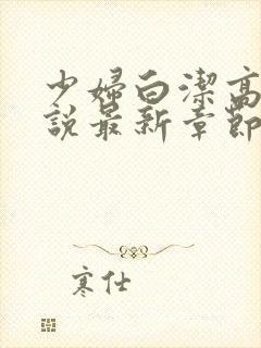 少妇白洁高义小说最新章节更新