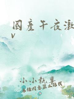 国产午夜激情av