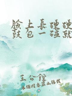 脸上长硬硬的小鼓包一碰就疼