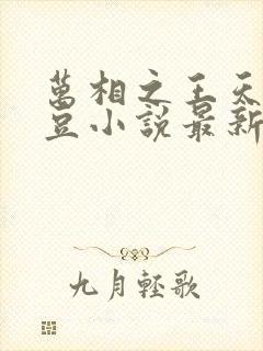 万相之王天蚕土豆小说最新章节