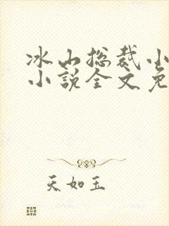 冰山总裁小萌妻小说全文免费阅读