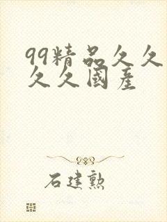 99精品久久久久久国产