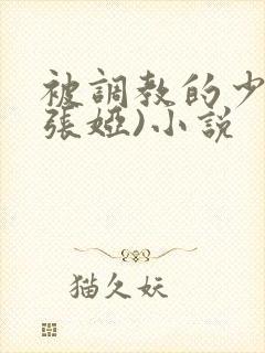 被调教的少妇(张娅)小说