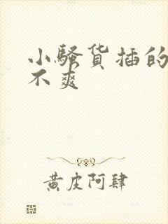 小骚货插的你爽不爽