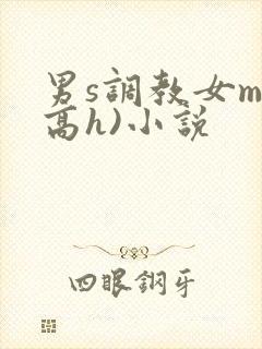 男s调教女m(高h)小说