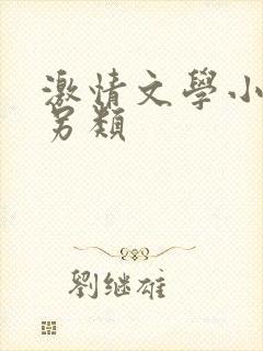 激情文学小说区另类