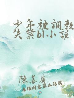 少年被调教爽到失禁bl小说