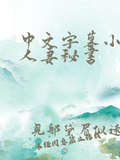 中文字幕小泽彻人妻秘书