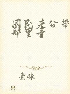 国民老公带回家哪里看