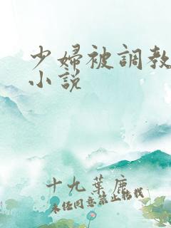 少妇被调教系列小说