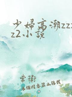 少妇高潮zzzz2小说