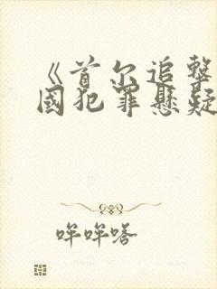 《首尔追击》韩国犯罪悬疑电影