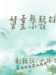 好看悬疑推理双男主小说