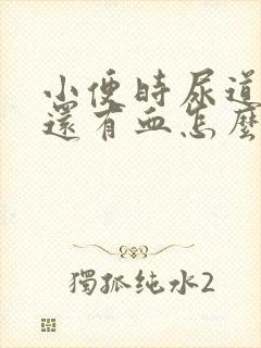 小便时尿道刺痛还有血怎么回事