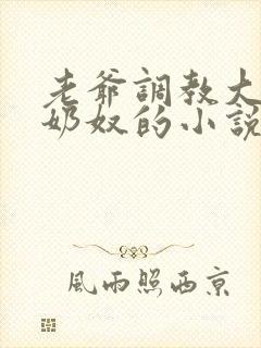 老爷调教大乳女奶奴的小说