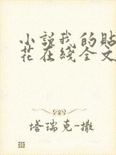 小说我的贴身校花在线全文免费阅读