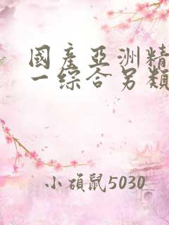 国产亚洲精品第一综合另类灬