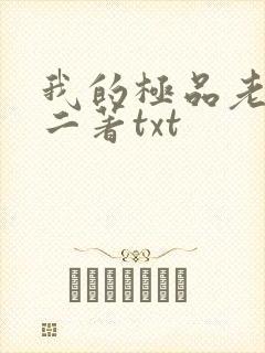 我的极品老婆小二著txt