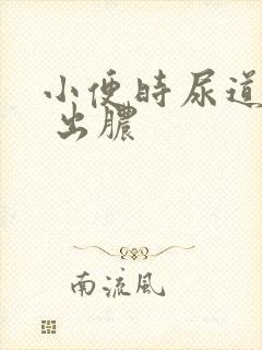 小便时尿道刺痛 出脓