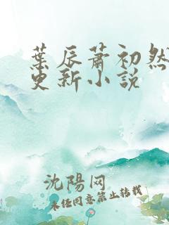 叶辰萧初然最快更新小说