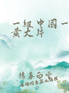 一级中国一级特黄大片