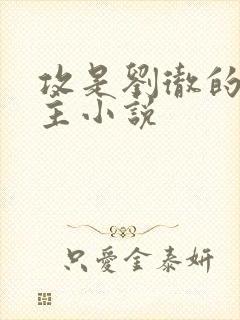 攻是刘彻的双男主小说